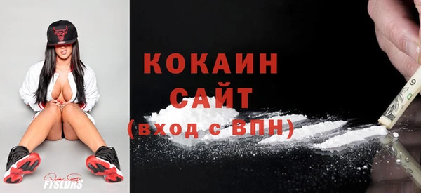 крисы Зерноград