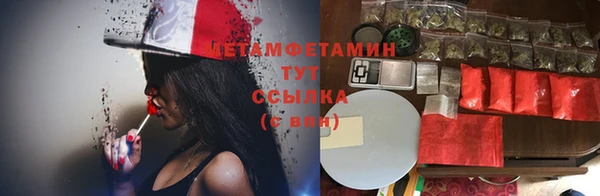 крисы Зерноград