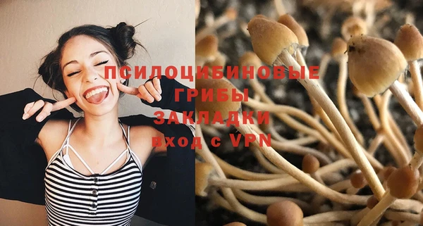 COCAINE Инсар