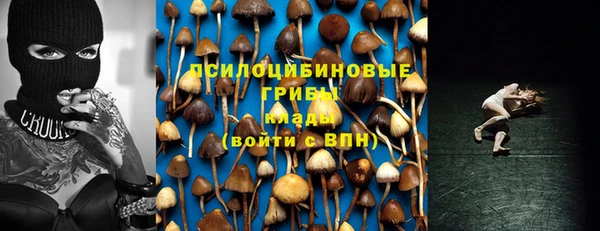 марки lsd Инта