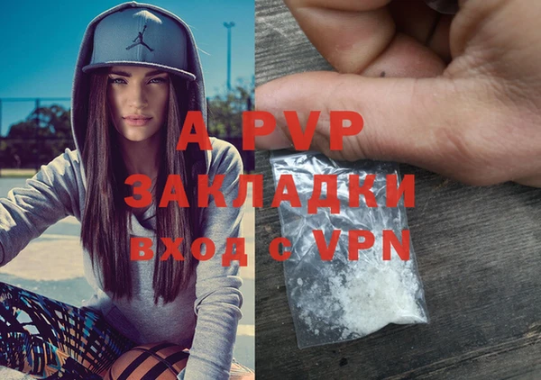 крисы Зерноград